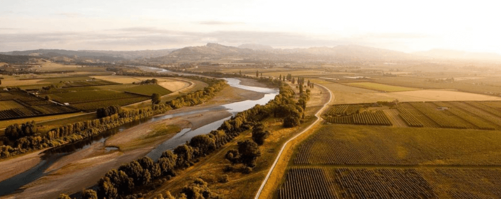 5 Enterprising Vineyards You Should Know About